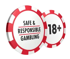 Responsible-Gambling lemon--casino.life